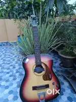 Hawaiian Guitar