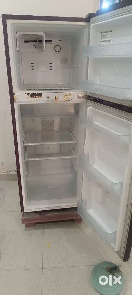 LG fridge double door