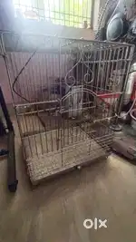 Stainless steel big cage