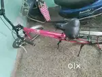 Lady Bird bicycle