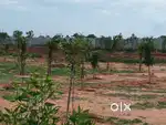 322 sqyrd farm land for sale near to main road  (price negoitable)