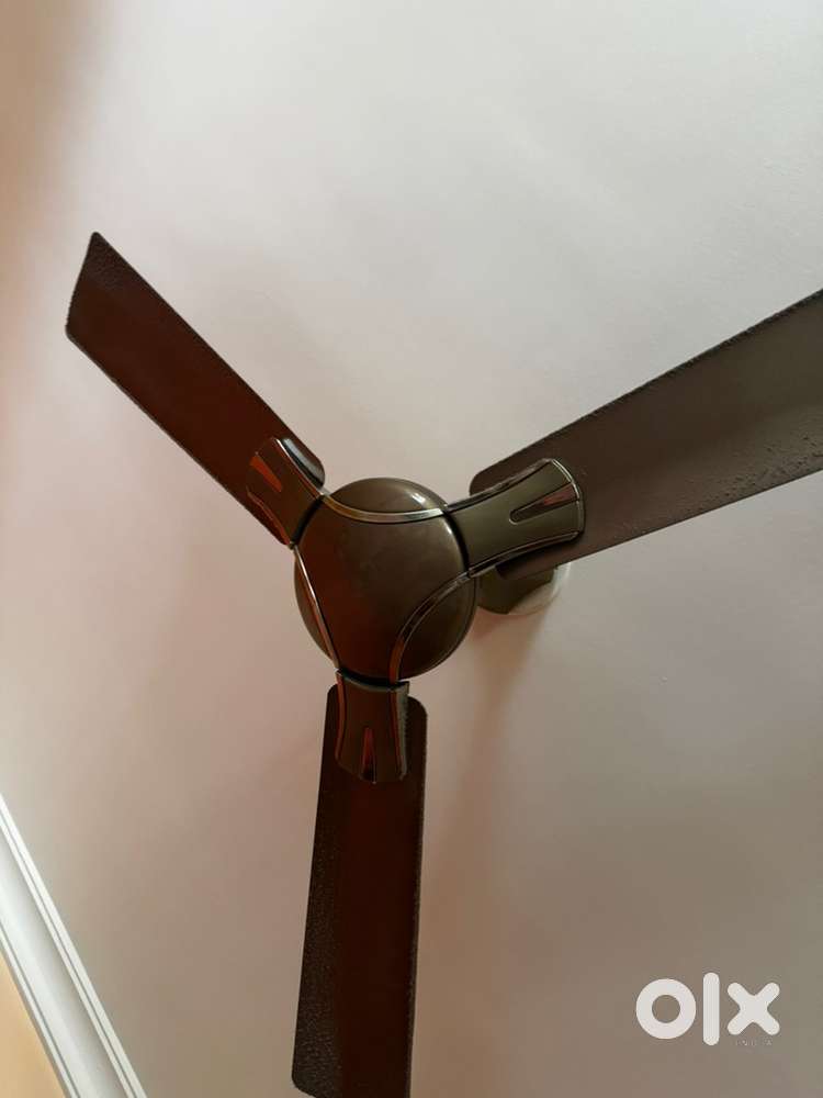 Ceiling fan
