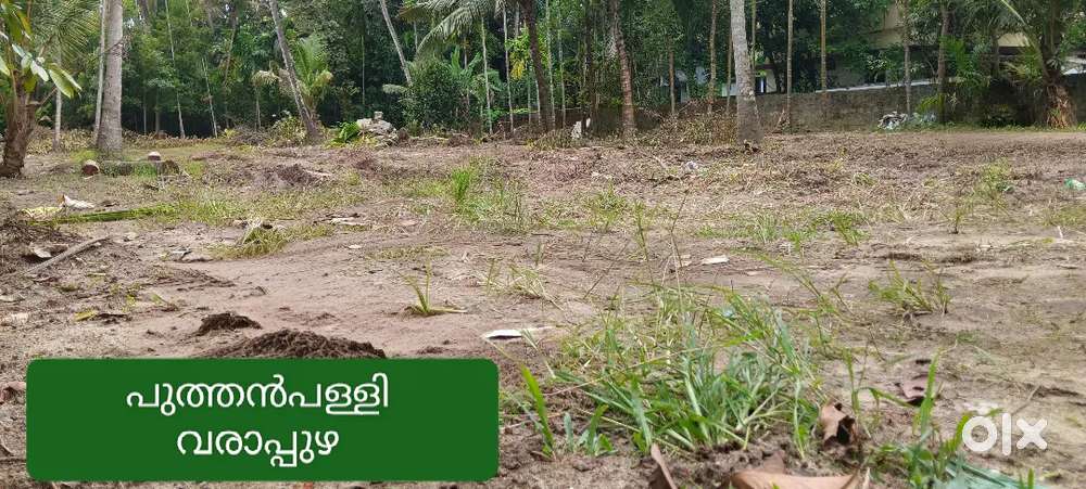 Puthanpalli varapuzha 4 cent Plot for sale