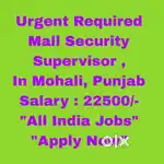 Urgent Required Supervisor Job Chandigarh