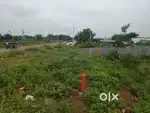 40/48 south 120 feet road comercial bit ndk road mahendrababu colony