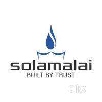 Sales Executive