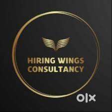 Field Auditor/ Mystery Auditor