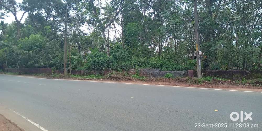 Ettumanoor ernakulam BUSROOT FRONTAGE kanakkary 25 cent commercial