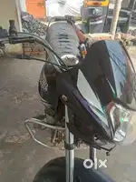 Deluxe bike