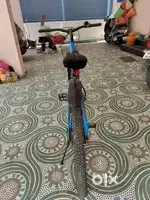 Toronto mountain bike