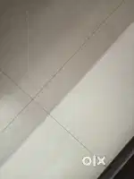 House for rent for bachelor and family available
