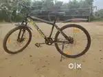 Bicycle (Urban Terrain)