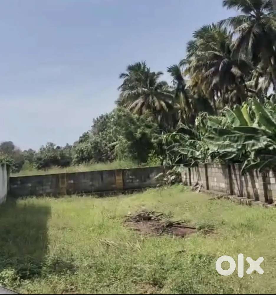 Nagercoil Konam VIP Garden 6 cent land for sale resale