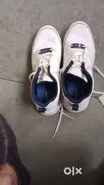 Campus Shoes