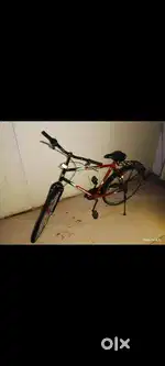 Hero neon bicycle