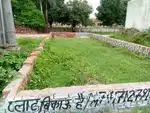 I want to sell my plot