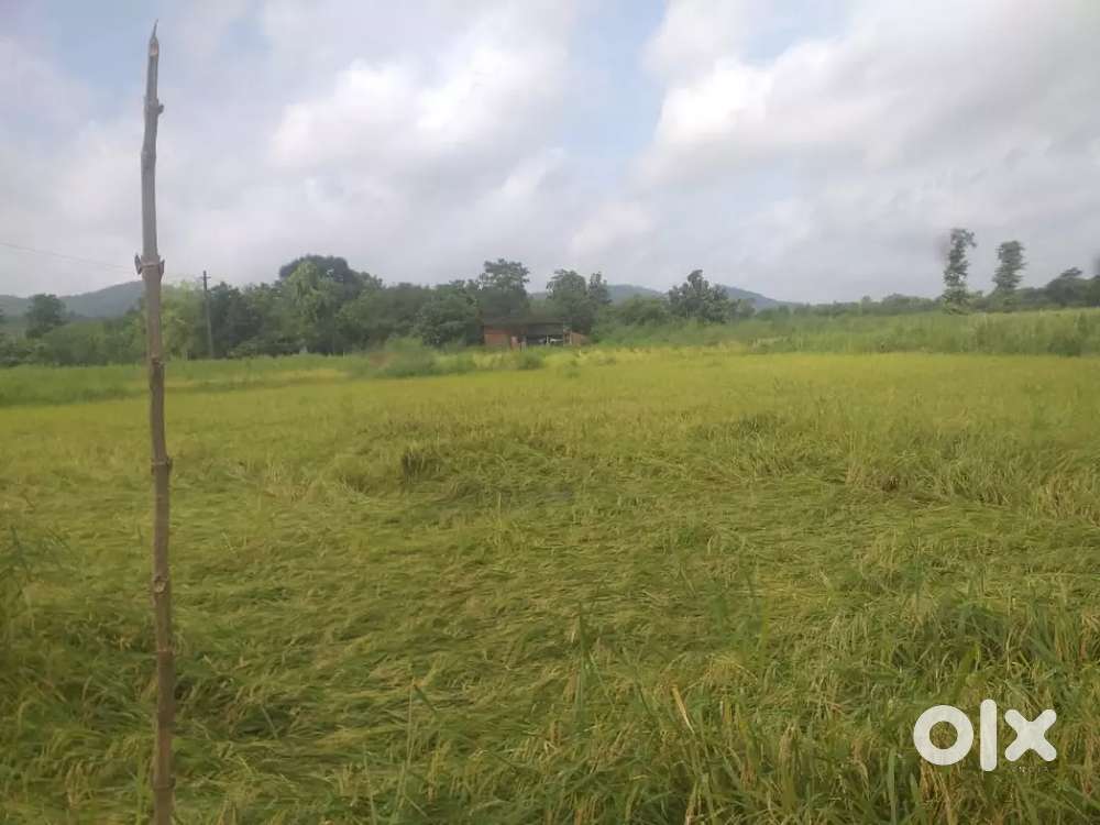 Urgent land sale in boisar