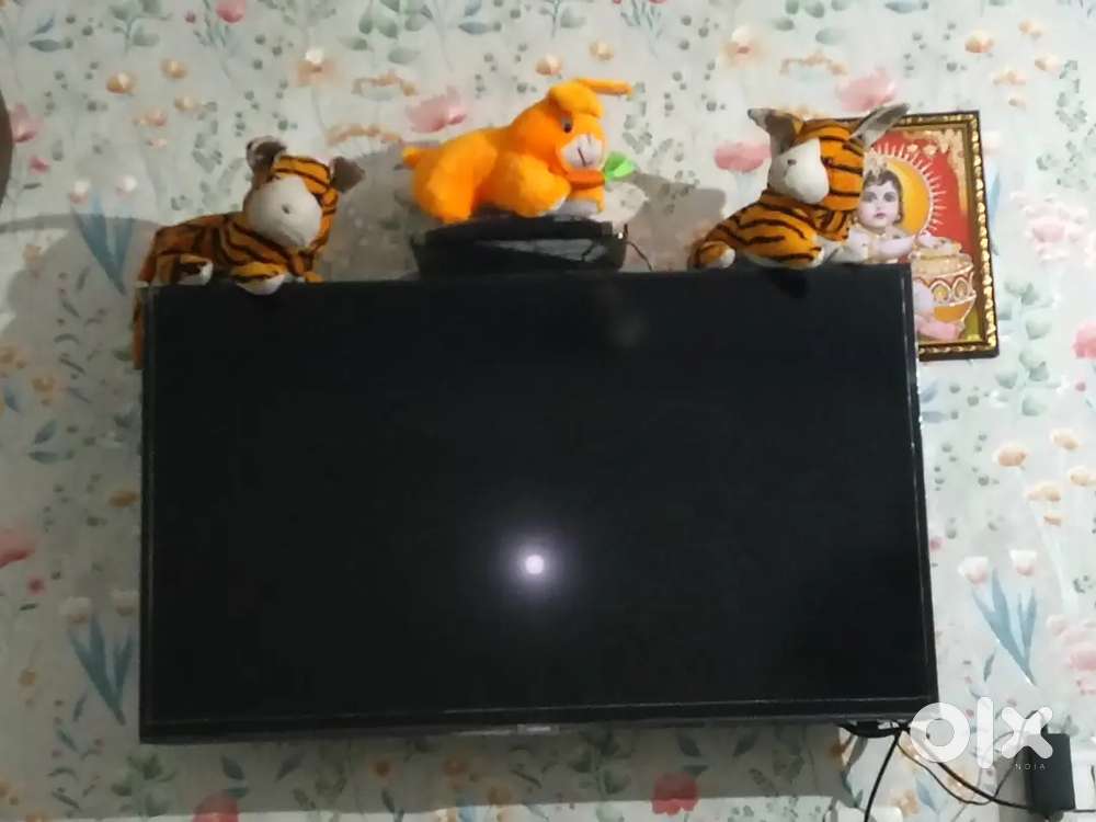 Samsung 43 inch led