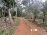 Kodanadu (Perumbavoor) Farm Land & House for Sale
