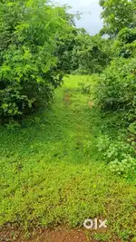 520000sq mt  land @1300/sq mt in Dodamarg Matane