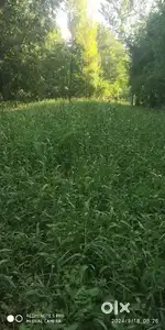I Want To Sale My Land