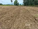 GOTMARA ANGUL NOOF PLOTS 23