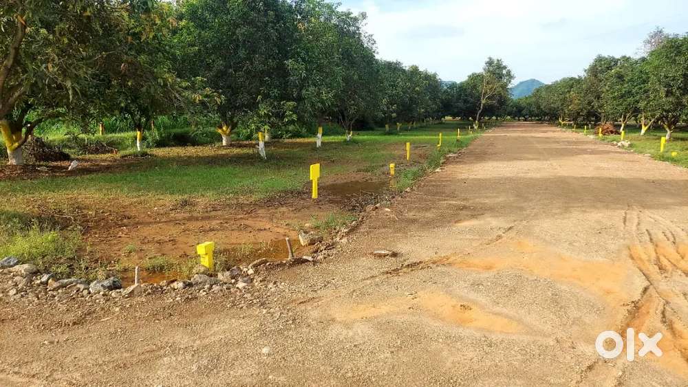 Vijayawada  city payakapuramu near 3 minutes  drive.