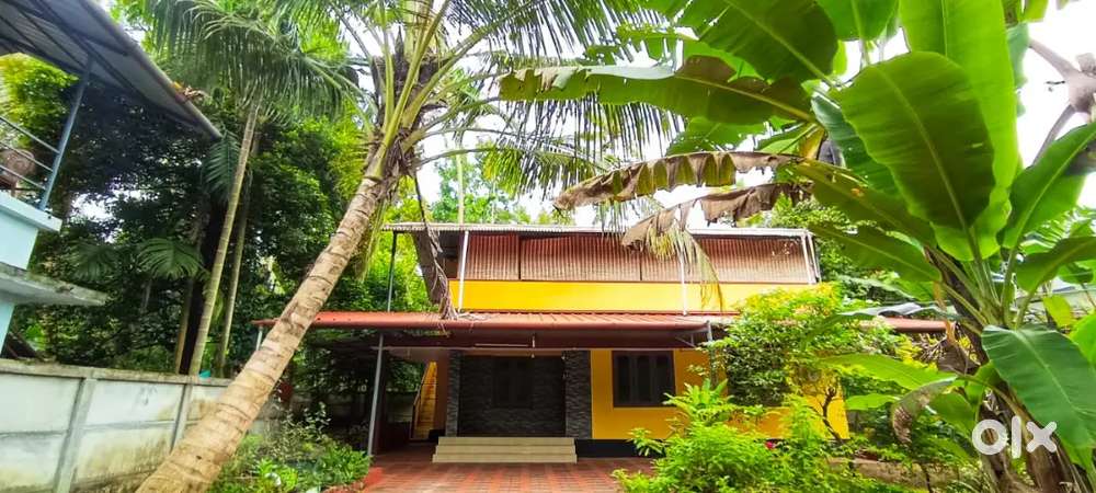 House and plot for sale