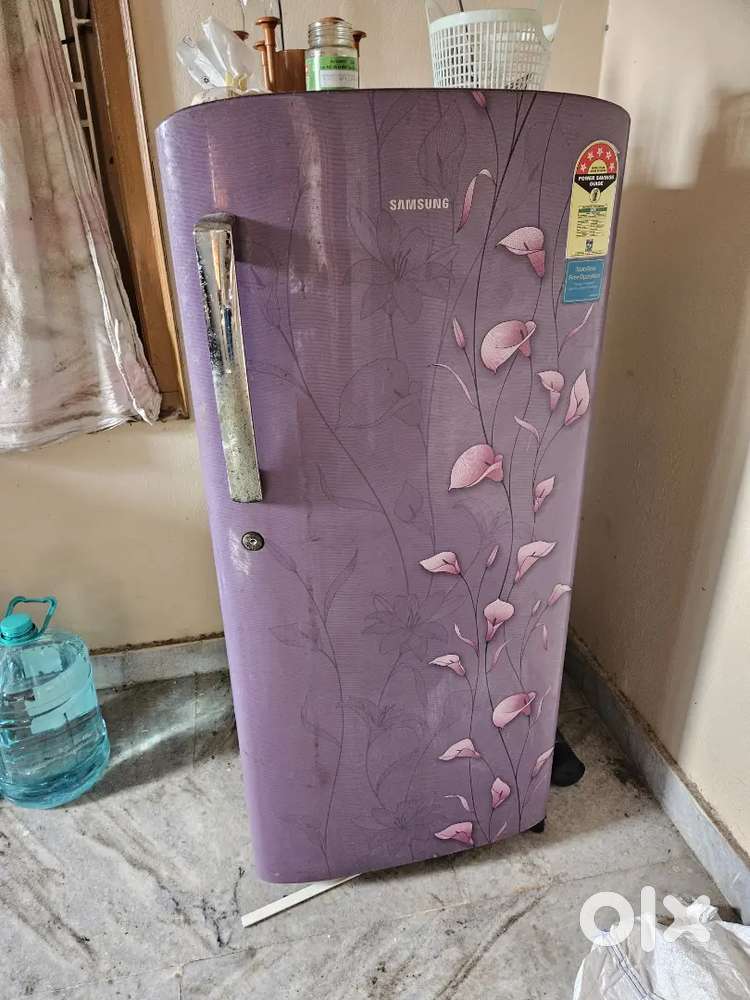 Samsung refrigerator 10 years old