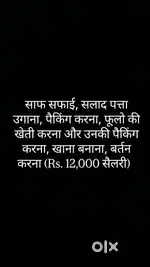 Ghar se kam, Salad patta ugana, packaging karna, saf Safai karna