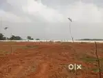 Luxury farm house plots nearby Tirupati area