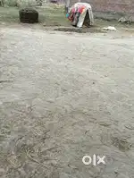 2 bisva jami
