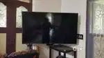 SAMSUNG 55 INCH