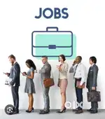 Jisko need hai job ki wo msg kre