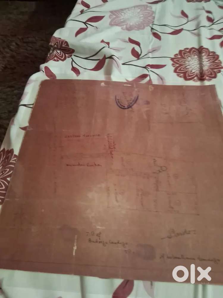 Fair real estate agent