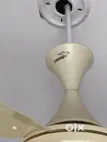 V guard Cieling fan condition 100 percent