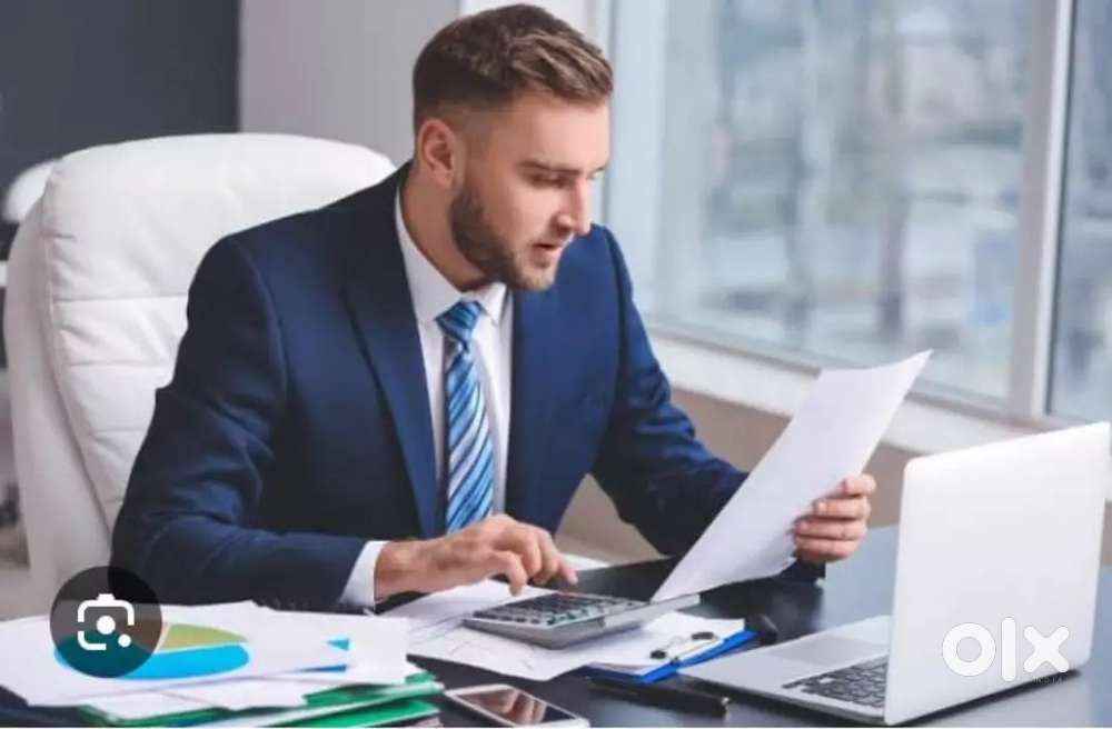 Assistant accountant