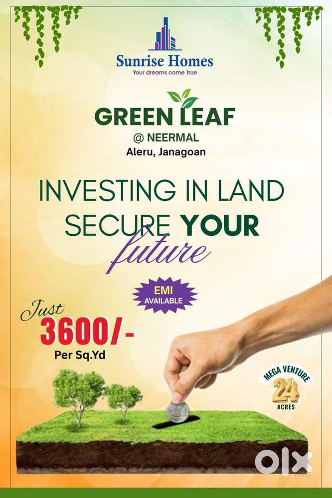 Very developed fram plots near neermala village