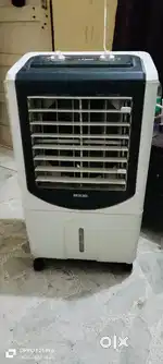 Cooler (ARCTIC NED)