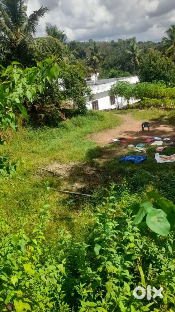 15 cent plot for sale(300000/cent)slightly Negotiable