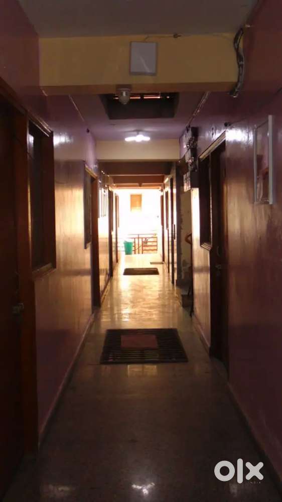 I need a female roommate