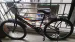 1 year old only good quality