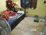Need Girl Roommate