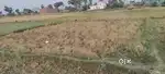 24 lakhs ,23 dhur ke karib jamin , urgent sell karna h sahwajpur