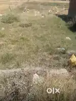Shankar City Phabhat Road