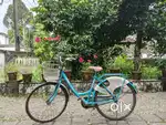 Brand - BSA, Age - 3 to 4 yrs, Lady bird bicycle