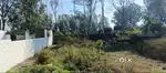 Urgent sell this plot