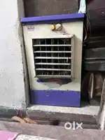 Electric cooler