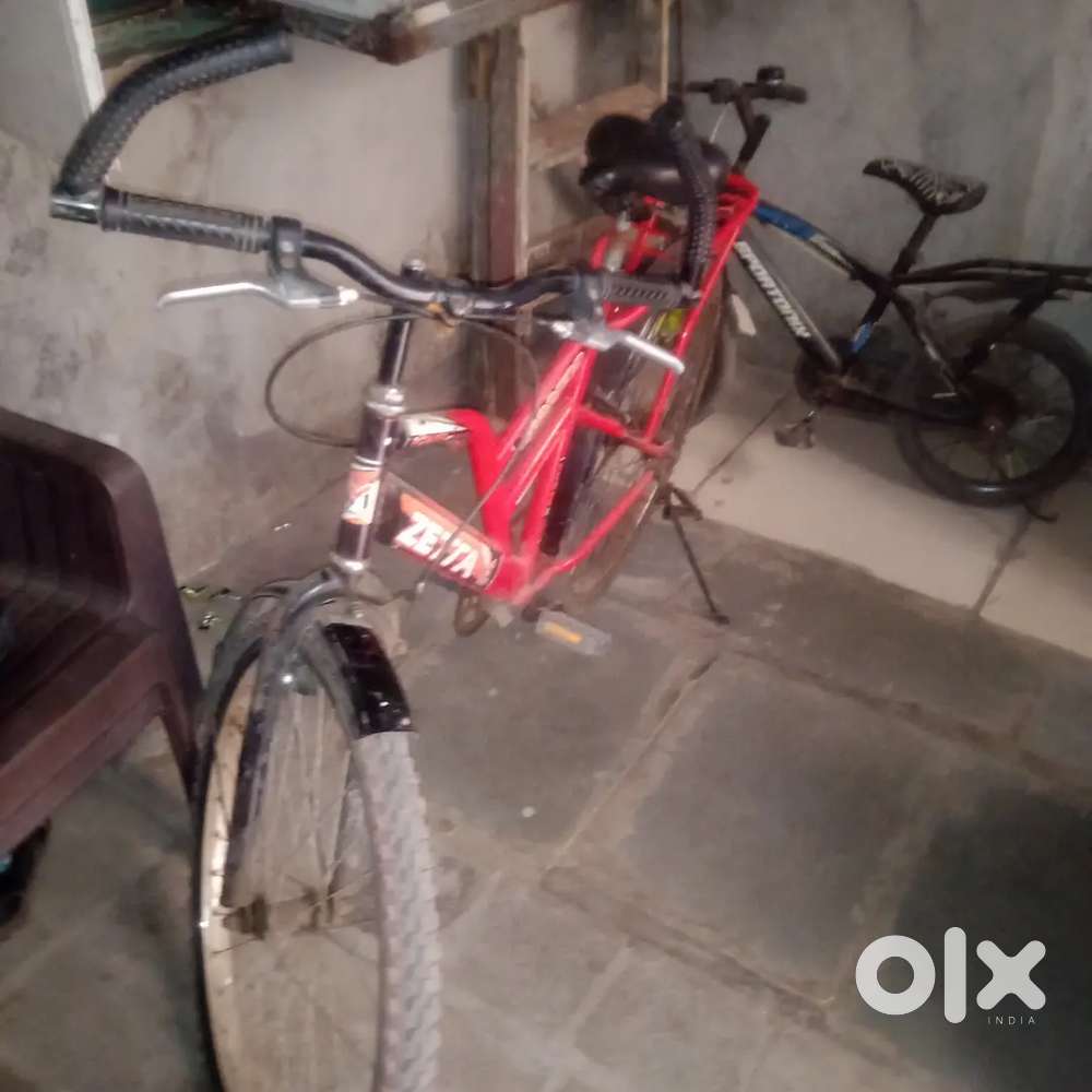 Cycle 2 week old an price 3200