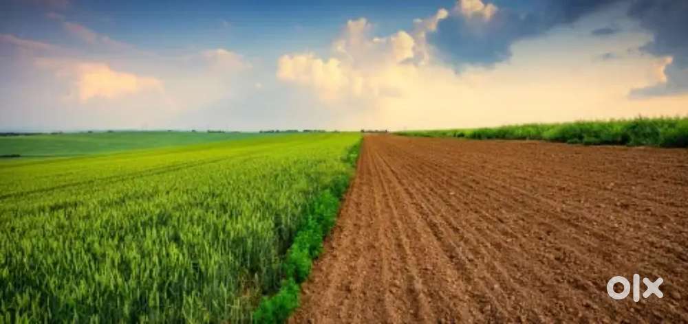 605 sq yds for Sale in Narayankhed At Affordable prices